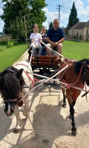 Póni Kuckó Vendégház és Minifarm